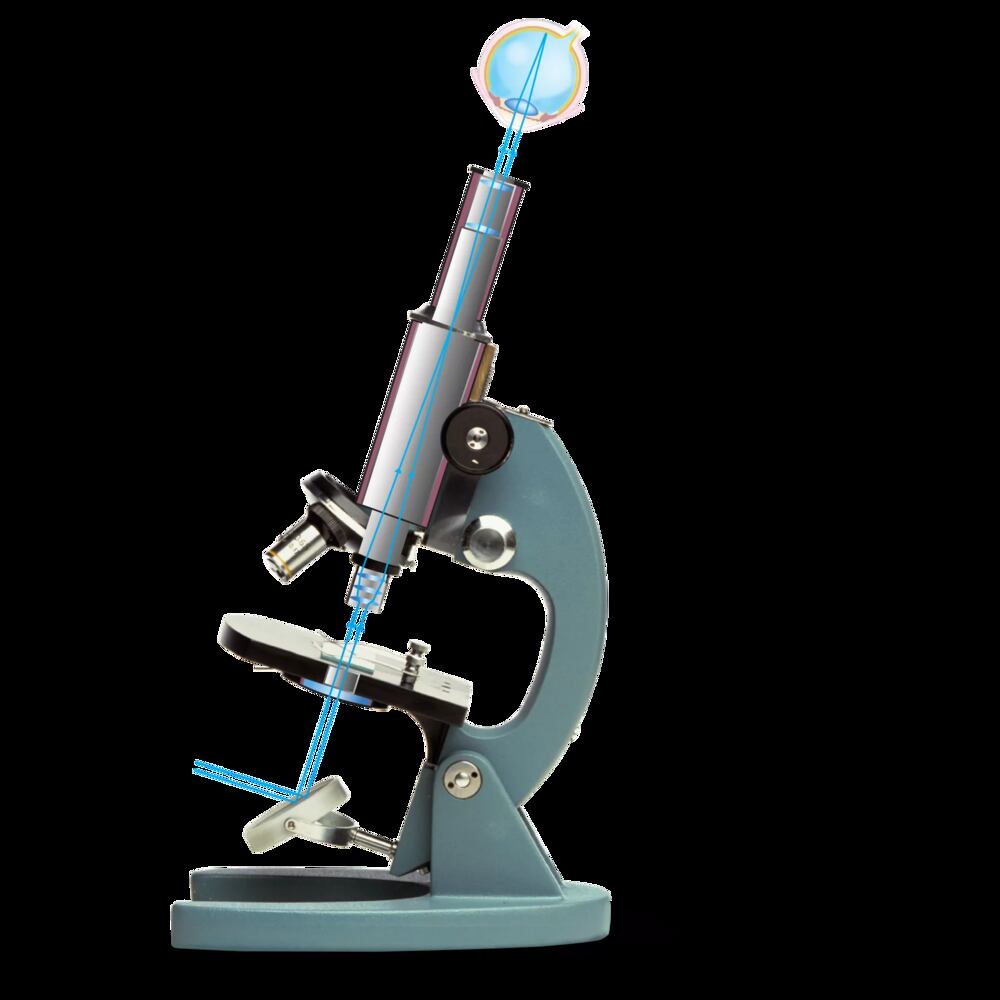 Understanding Infinity Optics in Microscopes