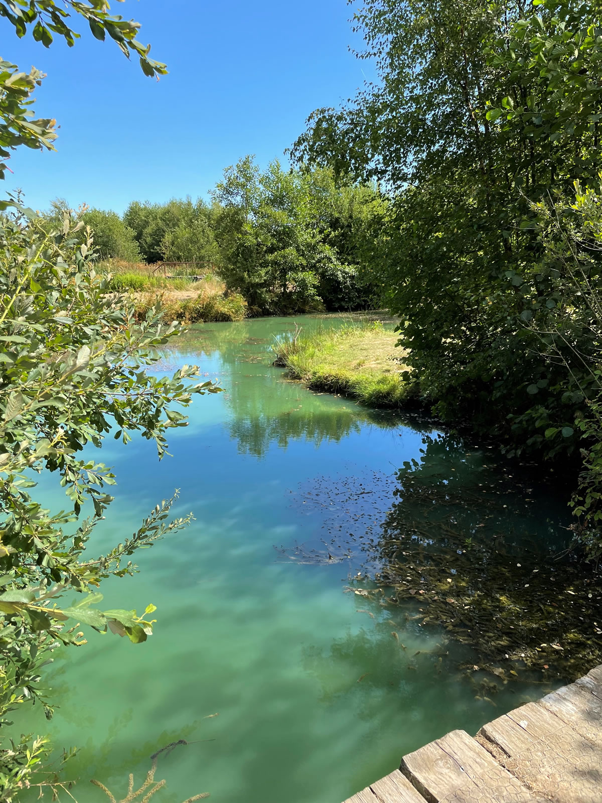 Tips for Budget-Friendly Fishing Adventures